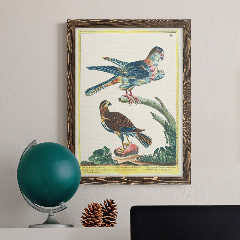 Toile encadrée de qualité supérieure Pastel Birds III - prête à être accrochée, H 32 po x l 23 po x P 1 po, Noyer