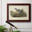 Audubons Blue Heron - cadre photo, impression sur toile-1629769502