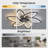 Ferol 14'' Ceiling Fan with LED Lights-159549282