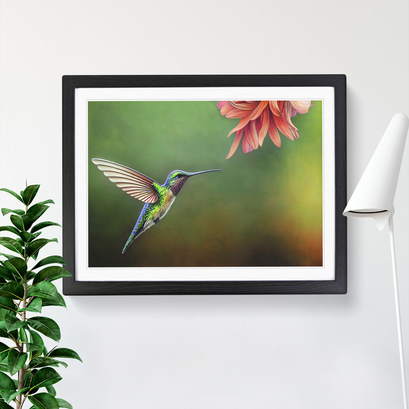 Floral Hummingbird Vol.4 - Single Picture Frame Painting, 46cm H x 64cm W x 2cm D, Black