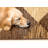 Brown Beige Distressed Checkers Area Rug-107120073