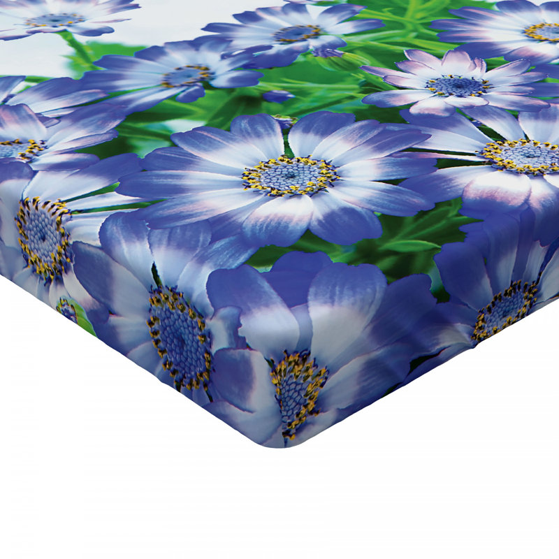 Microfiber Floral Fitted Sheet, Full Fitted Sheet