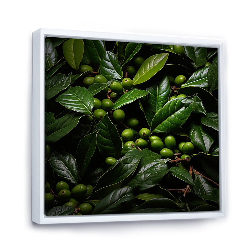 Tropical Robusta Palm Rhythms sur impression sur toile, H 36 po x l 36 po x P 1,5 po, Cadre flottant blanc