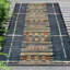 Tapis intérieur / extérieur Kortlynn-1698253386