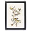 Black-Throated Green Warbler by John James Audubon - Picture Frame Painting Print-55545334-55545338