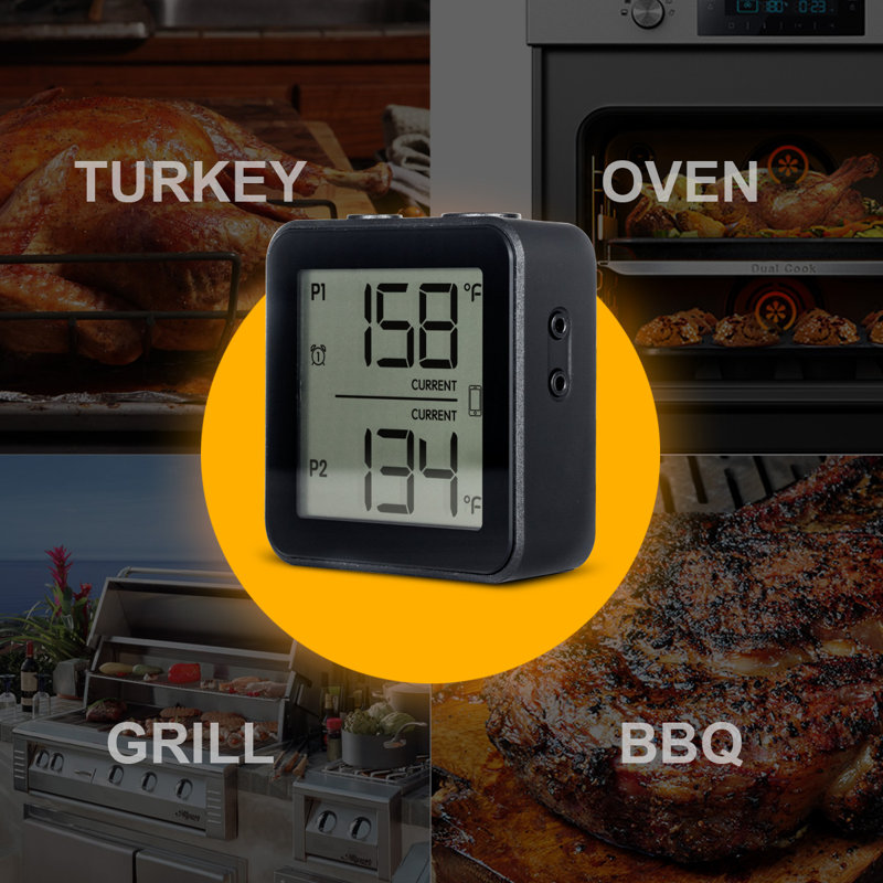 9H Instant Read Digital Meat Thermometer