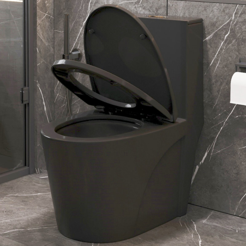 Matte Black Ceramic Elongated One-Piece Dual Flush Toilet