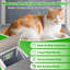 Abri d'extérieur pour chat avec plateforme