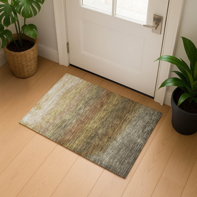 Tapis dégradé de qualité supérieure lavable à la machine Ariel