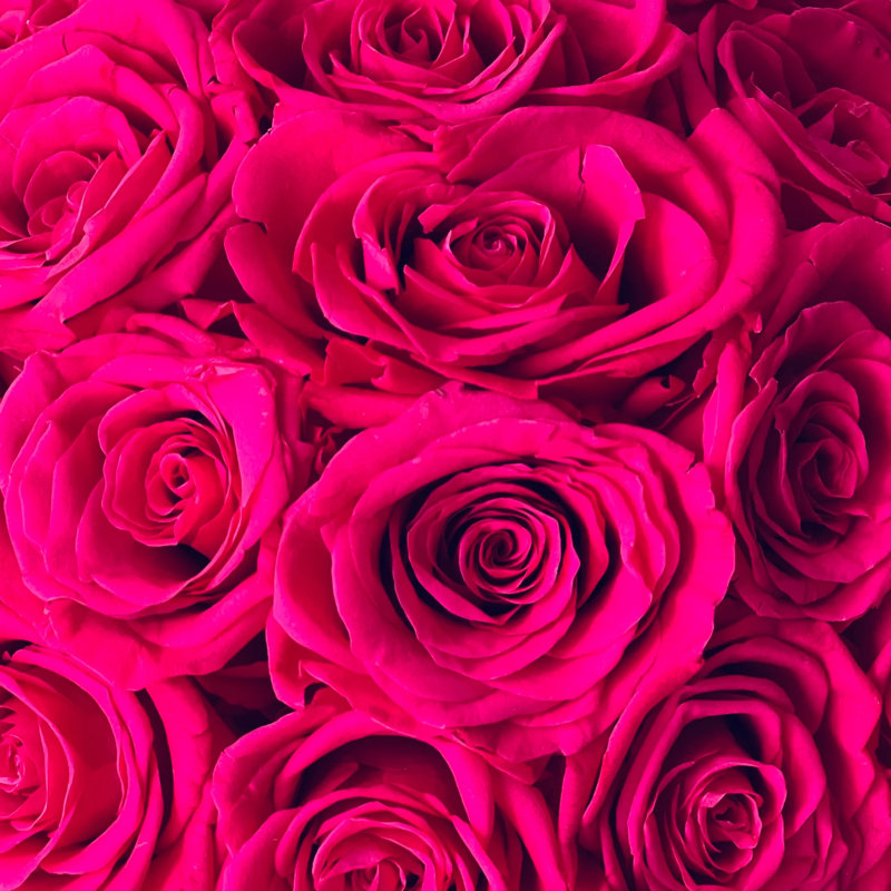 Arrangement de roses préservées dans un vase