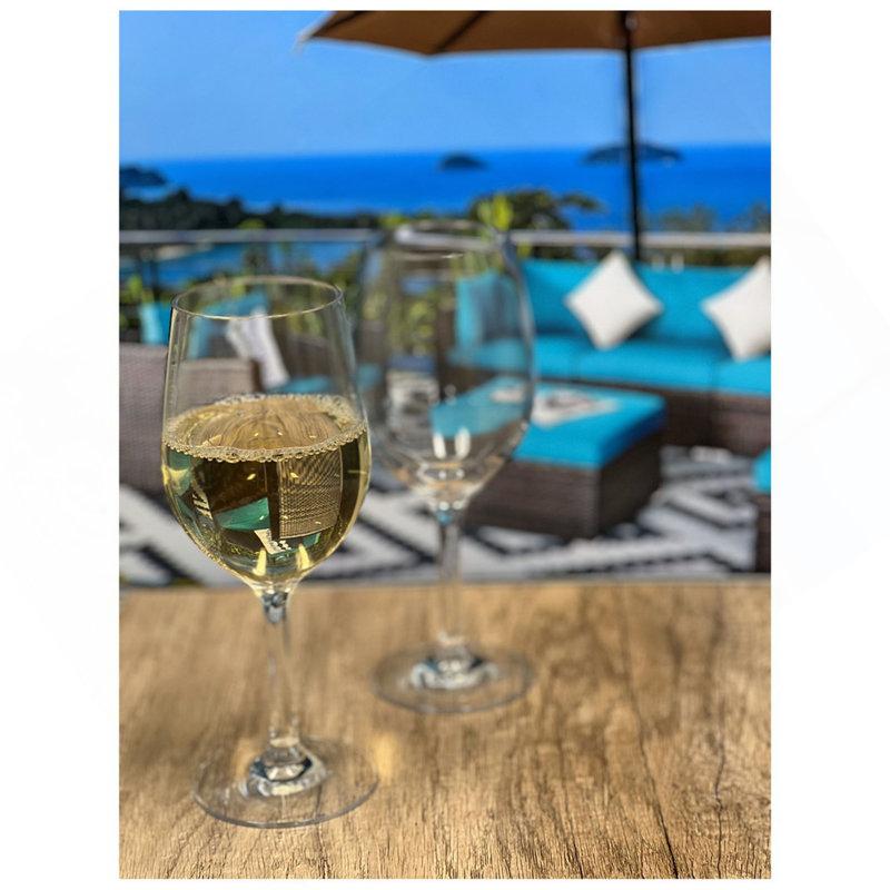 Ensemble de 4 verres à vin en plastique (12 oz), verres à vin Tritan sans BPA, verres à vin rouges incassables, verres à vin blancs