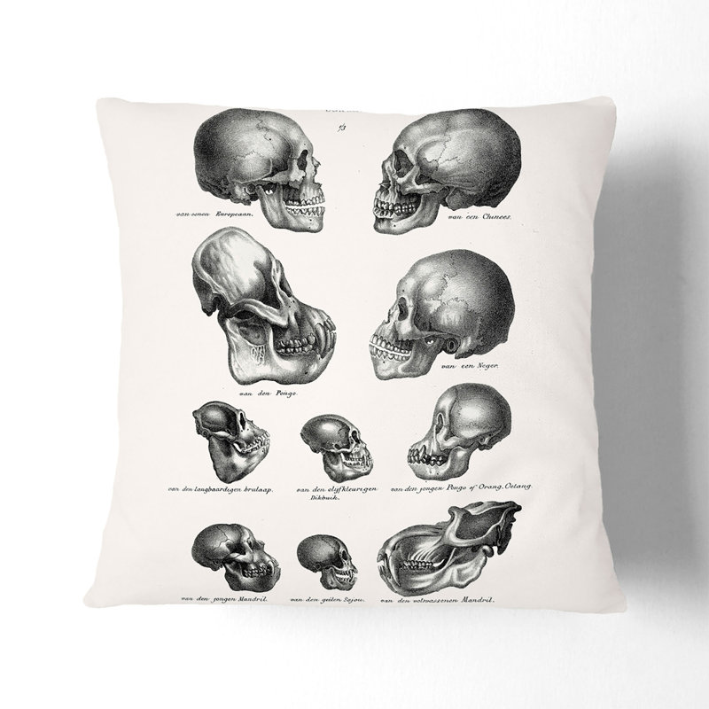 Square Throw Cushion, 55cm H x 55cm W x 20cm D