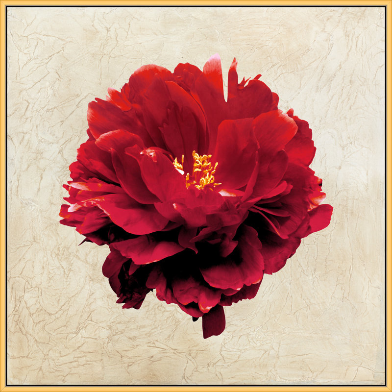 Textured Petals 1 Print by Lillian August