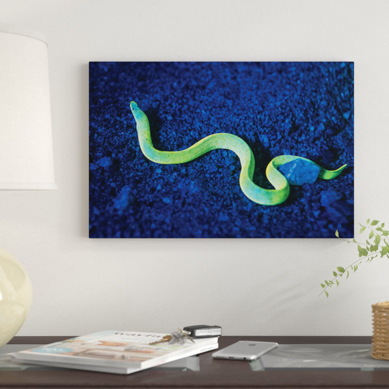 «Eel with Fluorescence Light and Filtres», impression sur toile, H 26 po x l 40 po x P 1,5 po, Toile tendue, Pas de tapis