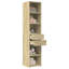 Shilonda Storage Cabinet-691843786
