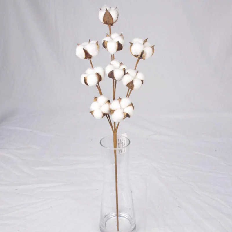 Cotton Arrangement
