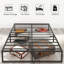 Structure de lit robuste en métal simple TG avec hauteur de 16 pouces, aucun sommier requis, assemblage facile, espace de rangement silencieux et sous le lit