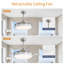 Beilin Ceiling Fan with LED Lights