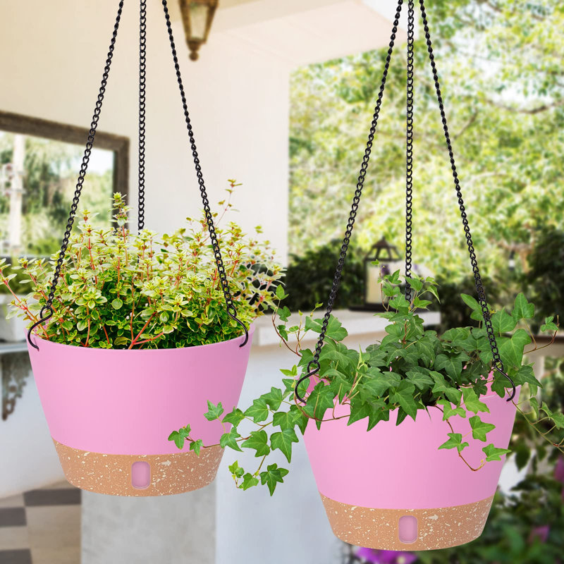 Jardinière suspendue, Rose