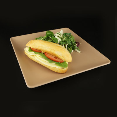 Assiette plate 10 po greenovations