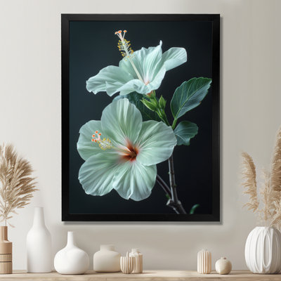 Hibiscus vert cristal II - Hibiscus