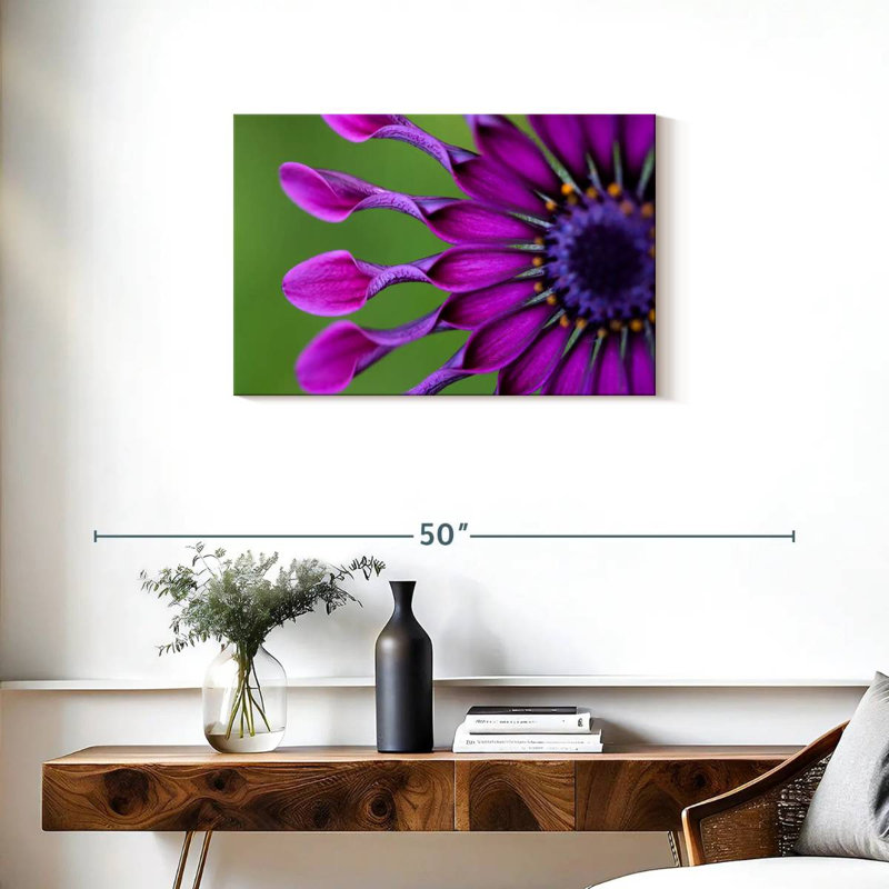 Marguerite mauve exotique Harnek, H 20 po x l 30 po