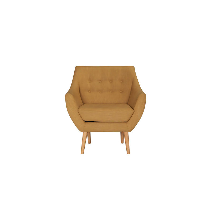 Velvet Accent Chair