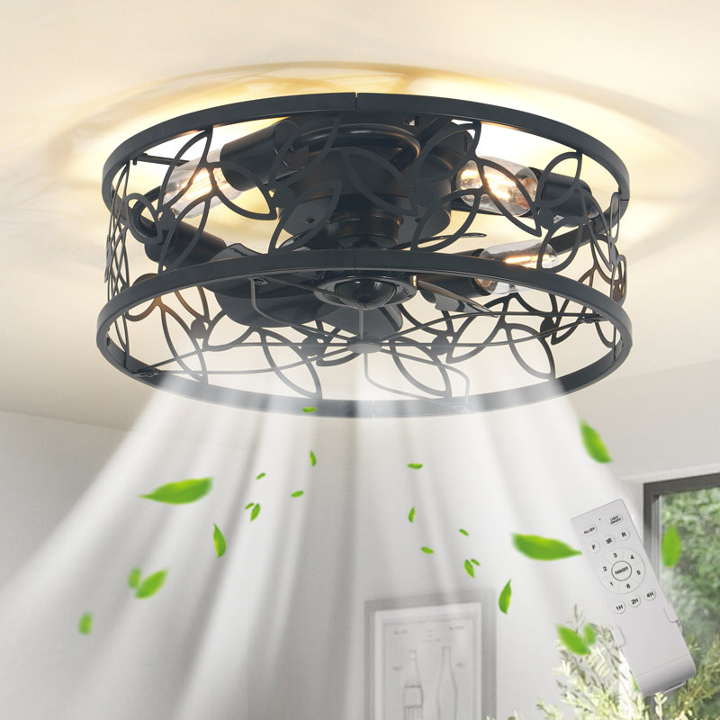 Jakwan 18.11'' Farmhouse Caged Ceiling Fan with Light Kit and Remote, Black
