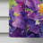 Double Sided 40'' H x 28'' W Polyester House Flag