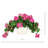 Geranium Arrangement in Ceramic Vase