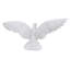 AILES DE PIGEON-1073083668