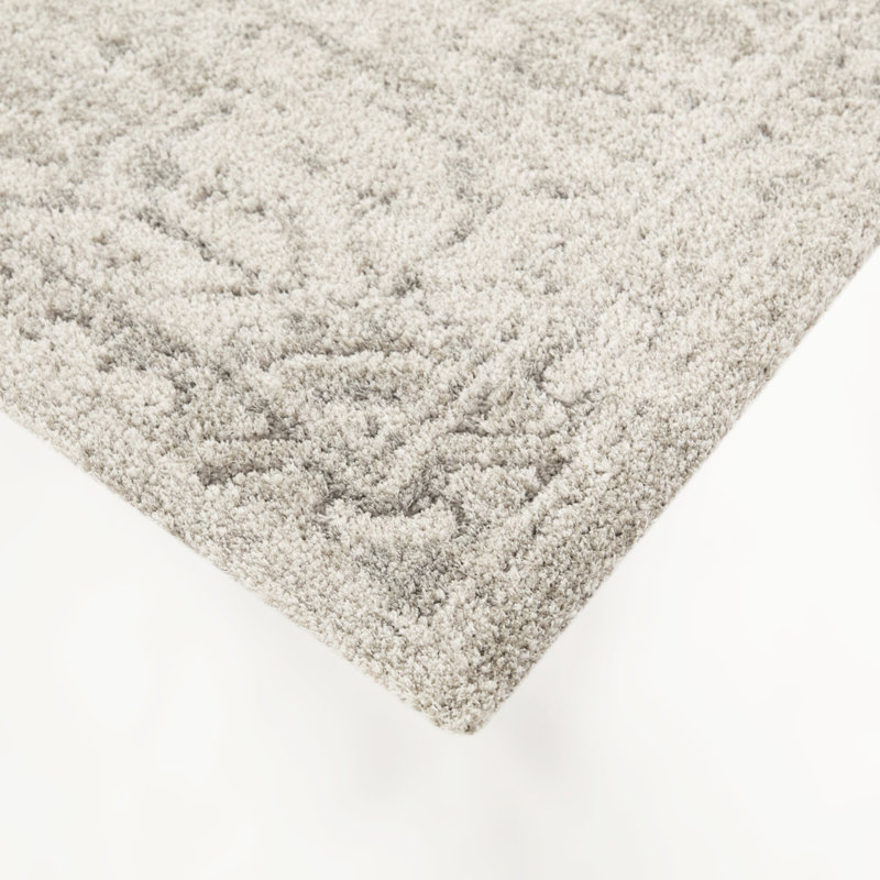 Iacchus Beige Distressed Traditional Area Rug, Rectangle 7'10" x 10'