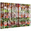 Parvez Taj - Wrapped Canvas Print-16672310