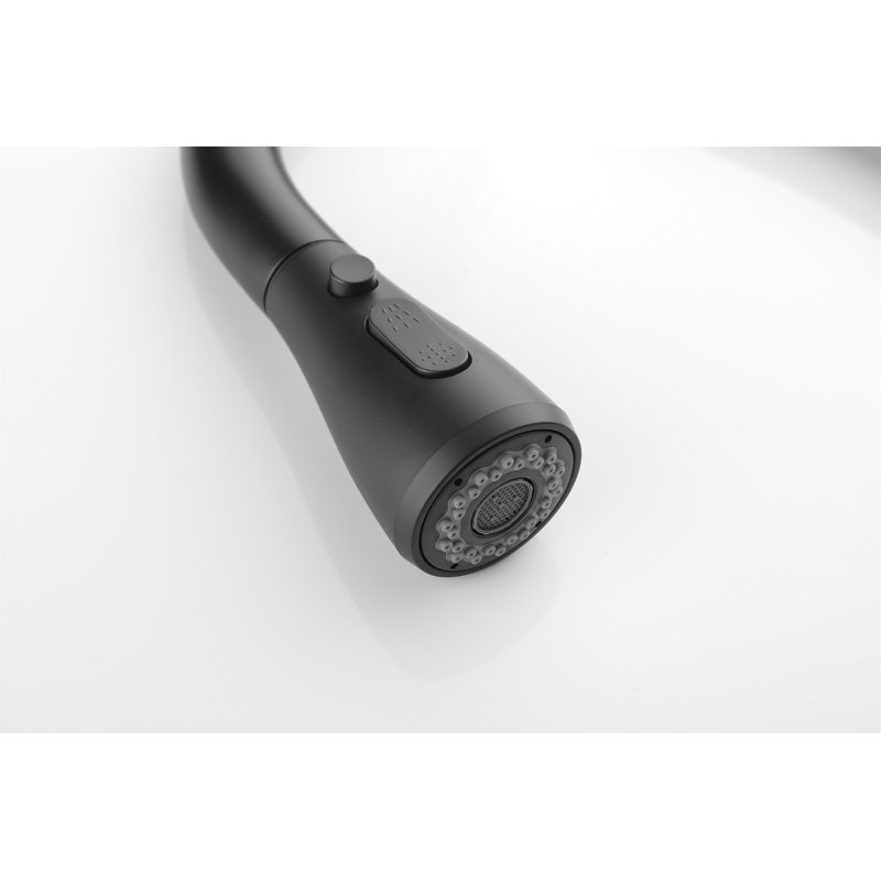 Kitchen Faucet With Pull Out Spraye