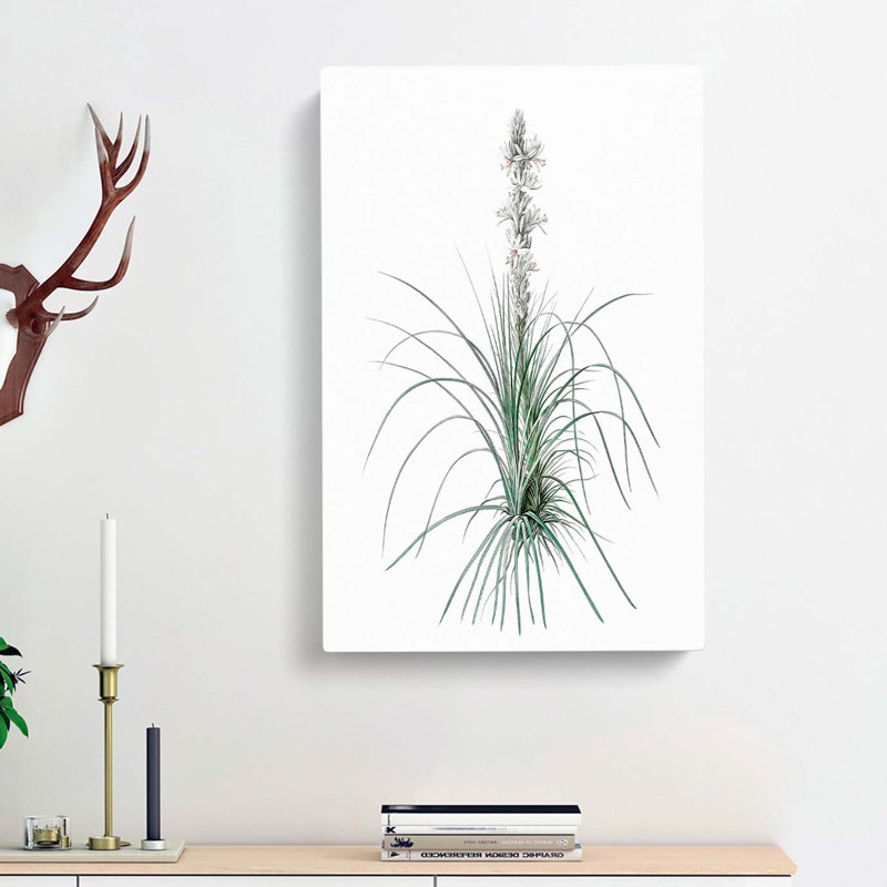 Kings Spear Flowers by Pierre-Joseph Redoute - Wrapped Canvas Painting, 50cm H x 35cm W x 3cm D