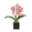 Faux Orchid Plant In White Vase-1049804021-1049804020