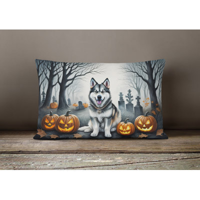  Other/No Pattern Polyester Indoor/Outdoor Throw Pillow
