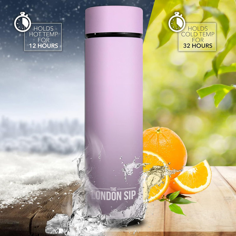 Paquet de 2 bouteilles d'infuseur, 16 oz, lilas, Rose