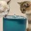 Traskwood 3000ml Pet Fountain