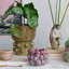Vase Berry Delight