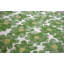 Daisy Performance Square Pillow Cover & Insert-92427817-92427816