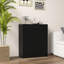 Navjeevan Rectangle Accent Cabinet-1834007658