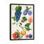 «Fruit Collection II», impression sur toile-72791912-72791901-29176829