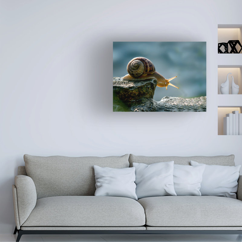 Art sur toile «boline Dmitry Skvortsov», H 14 po x l 19 po