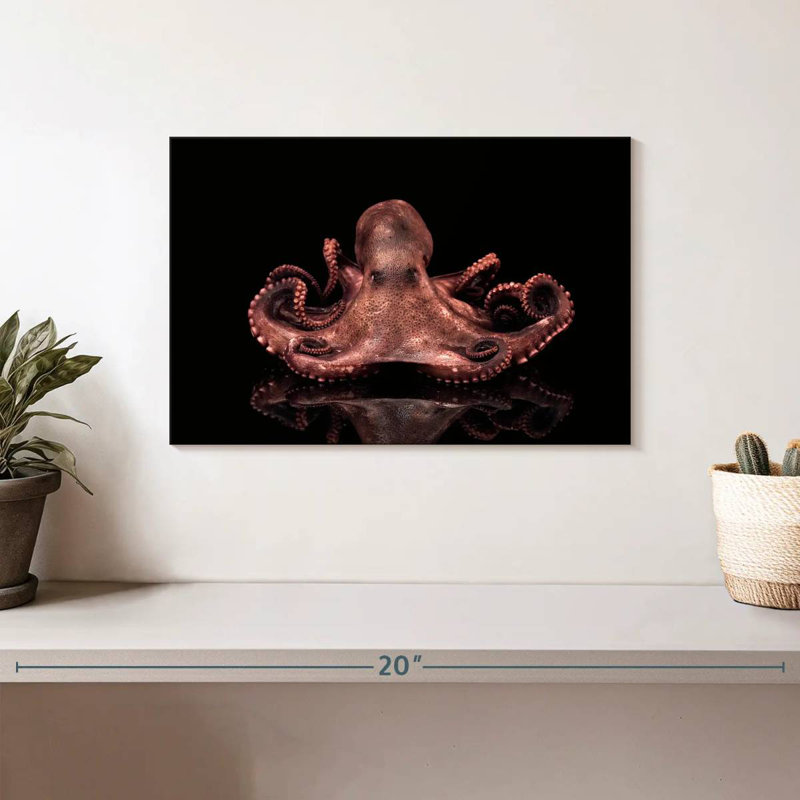 Brampt Plump Pink Octopus, 8" H x 12" W