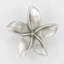 2" Plumeria Flower Medium Knob-39948783-104672780-126755985