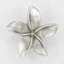 Poignée Plumeria-39948783-126755984-104672779