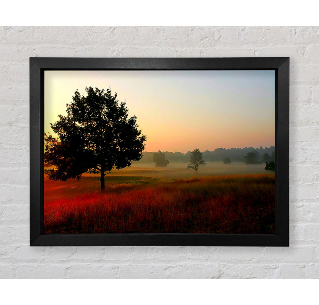 Herbstsonnenaufgang Baum im Nebel - Einzelne Bilderrahmen Kunstdrucke