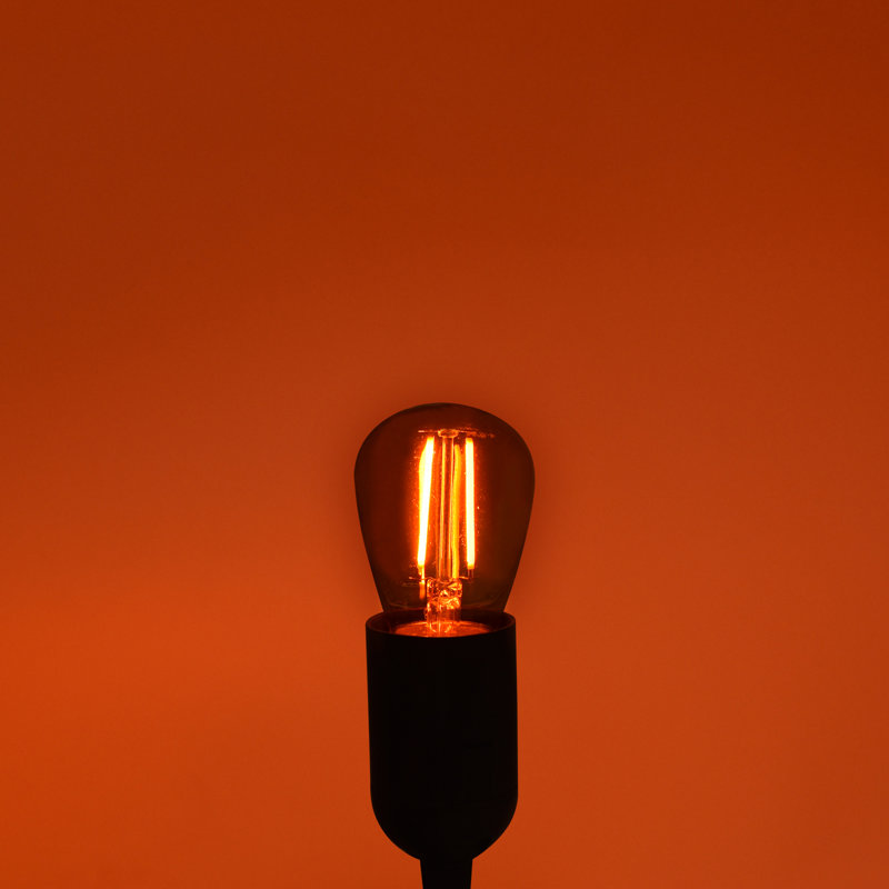 0.5 Watt S14 LED Colored String Light Bulb, E26/Medium (Standard) Base, 12