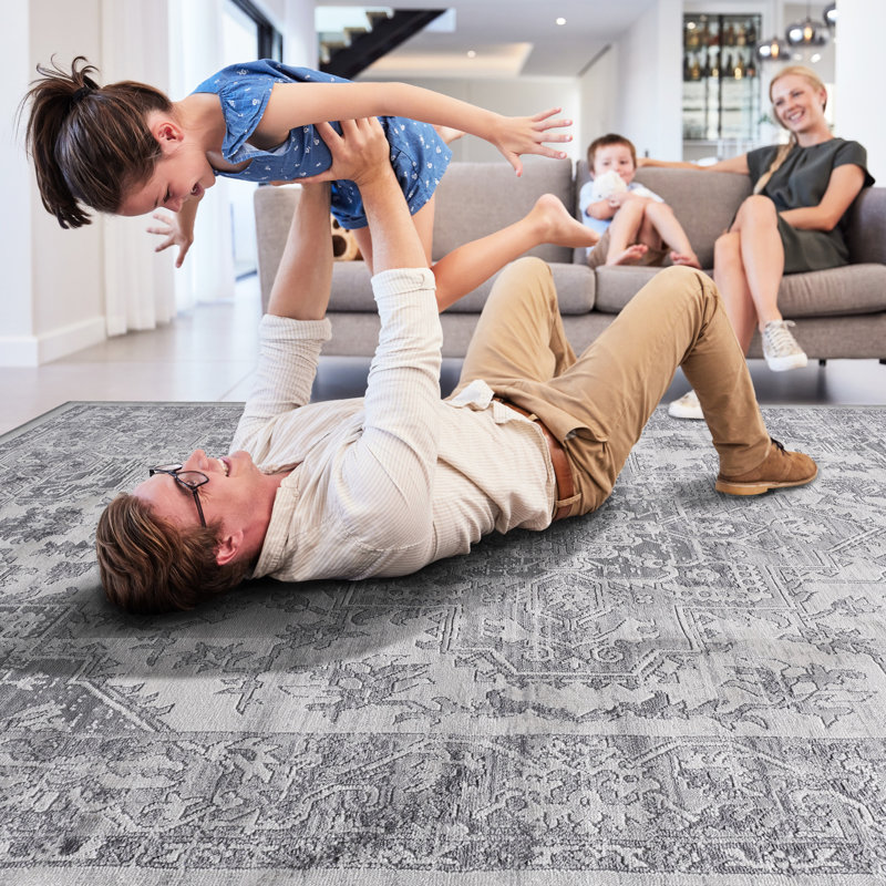 5X7 Silver Non-Shedding Rug - Stain , Ideal For Living Room, Bedroom, Dining, Office Area In Non-Shedding, Dorm, Kitchen